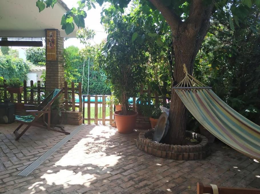 Dormir Entre Limones, Casa De Invitados En Vivienda Familiar Dos Hermanas Eksteriør billede